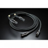 Furutech Interconnect Cable (1.2mx2), Evolution II Audio(XLR)