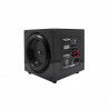 EarthquakeSound MINIME-P12-V2 640 Watts Ultra-compact Subwoofer BLACK