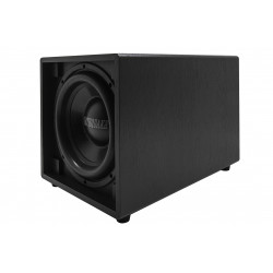 EarthquakeSound SUPERNOVA MKIV-12" powered subwoofer