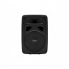 EarthquakeSound PRO DJ-10M Powered 2-Way Monitor/PA Speaker 600 Watts