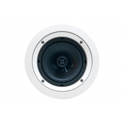 EarthquakeSound CM-600 mid woofer