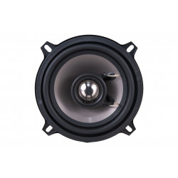 EarthquakeSound T-52 TNT 2-Way Speaker