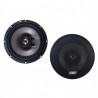 EarthquakeSound T-65 TNT 2-Way Speaker