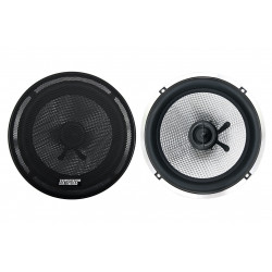 EarthquakeSound VTEK-62 High End Coaxial speaker