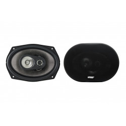 EarthquakeSound F-6X9 focus speaker