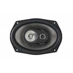 EarthquakeSound F-6X9 focus speaker