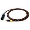 Hypex DIY Class D Cable set Interlink ST RCA-XLR M 1