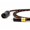 Hypex DIY Class D Cable set Interlink ST RCA-XLR M 3m