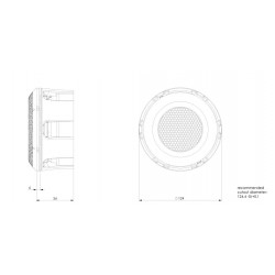 Accuton ceramic CELL concept midrange, C90-6-724