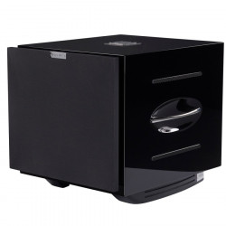 REL Acoustics  Serie S Carbon Special Subwoofer