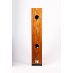 SB Acoustics ARYA Carbon Beryllium Edition speakers - FineTuning by StereoArt