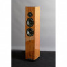 SB Acoustics ARYA Carbon Beryllium Edition Speakers DIY Kit- FineTuning by StereoArt