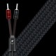 AudioQuest William Tell BASS 72v DBS 2,5m Pair Speaker Cable