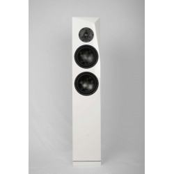 SB Acoustics Rinjani Tx - Textreme DIY Speaker Kit