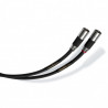 Audience AV frontRow Interconnect cable - XLR, 1.0m