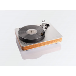 Turntable Woodpecker, Dr. Feickert Analogue